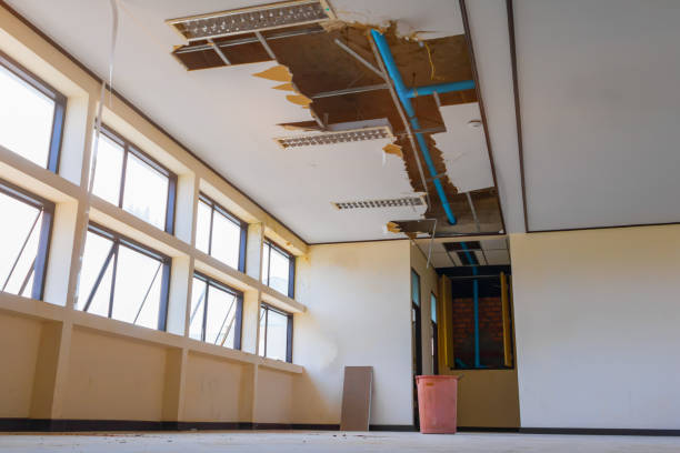 Best Carpet water damage restoration  in Boaz, WV