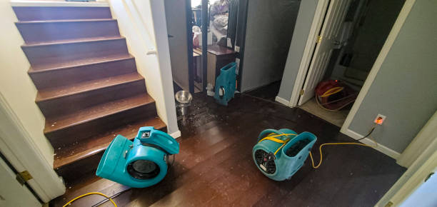 Best Professional water damage repair  in Boaz, WV