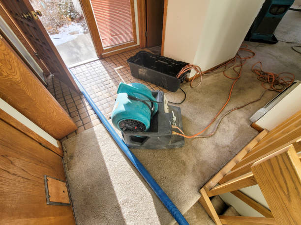 Best Basement water damage restoration  in Boaz, WV