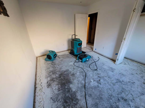 Best Flood damage cleanup  in Boaz, WV