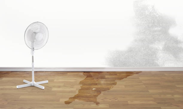 Best Water damage cleanup near me  in Boaz, WV