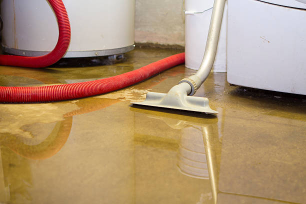 Best 24/7 water damage repair  in Boaz, WV