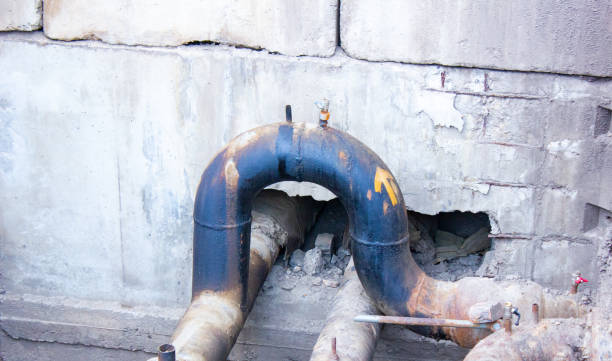 Best Water damage cleanup near me  in Boaz, WV