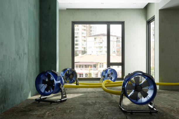 Best Water damage restoration near me  in Boaz, WV