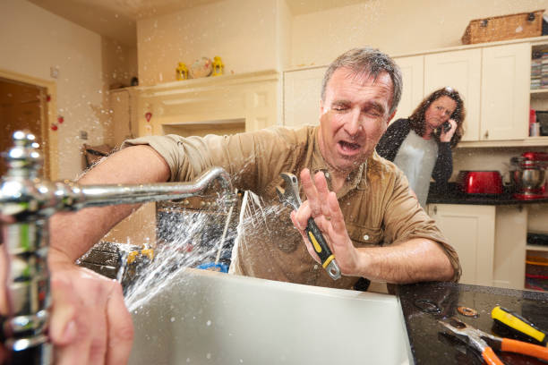 Best Flooded house restoration  in Boaz, WV